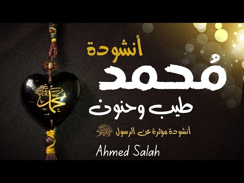 محمد طيب وحنون أنشودة مؤثرة عن الرسول  