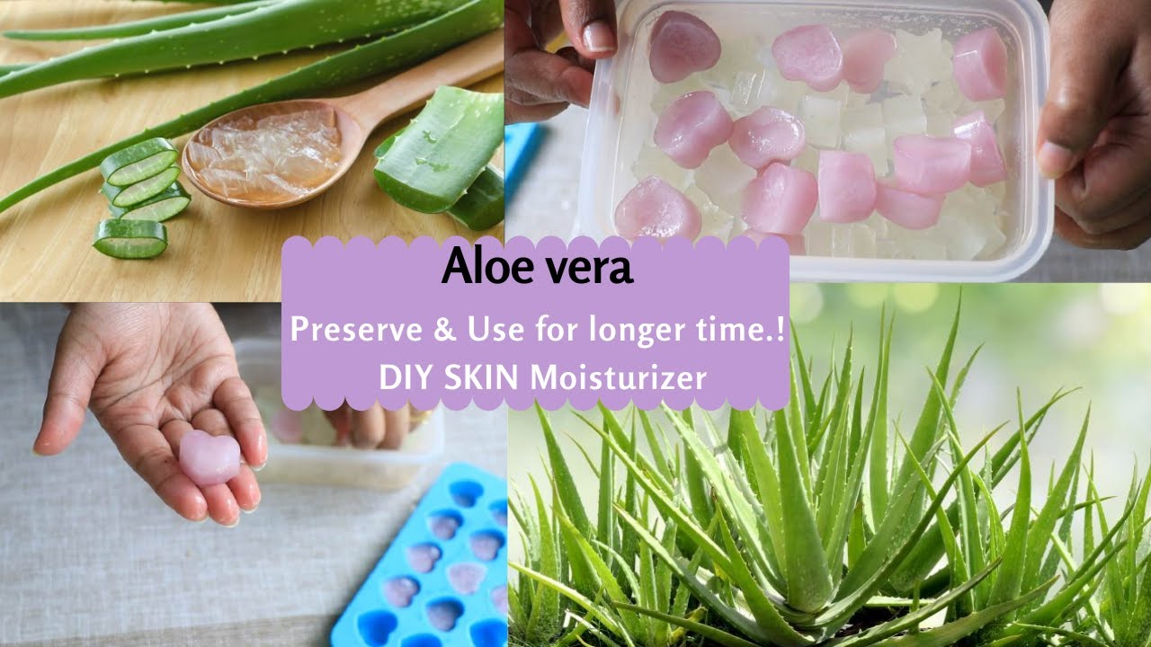 HOW TO STORE ALOE VERA GEL AT HOME FOR LONG TIME  HOMEMADE DIY ALOE VERA  MOISTURIZER FOR FACE & BODY