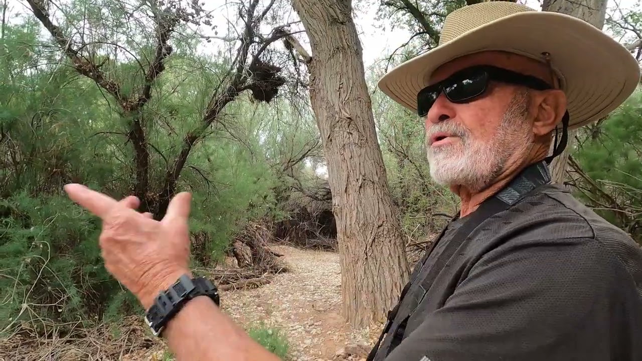 Lower San Pedro River Wildlife Area