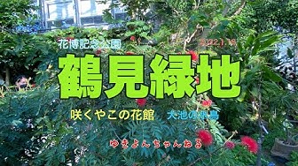 咲くやこの花館 Youtube