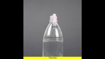 Cartesian Diver | #ThinkTac #DIY #DIYscience #YouTubeShorts #Shorts