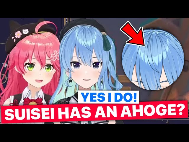 Does Suisei Have An Ahoge? (Suisei & Miko/ Hololive) [Eng Subs] class=