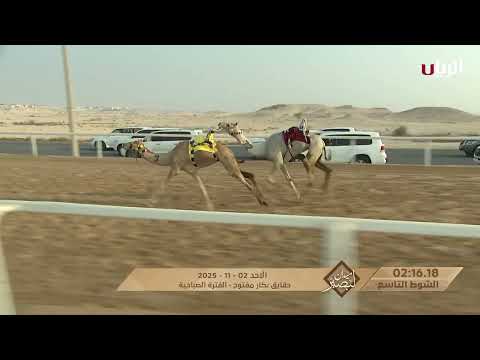 ش9 ضجة ل سالم ناصر سالم فهيد المكسور لبصير بالمحلي الرابع 02 11 2025ص حقايق بكار مفتوح 4 35 10