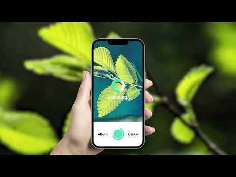 How to find out the name of a tree using the PlantIn app?