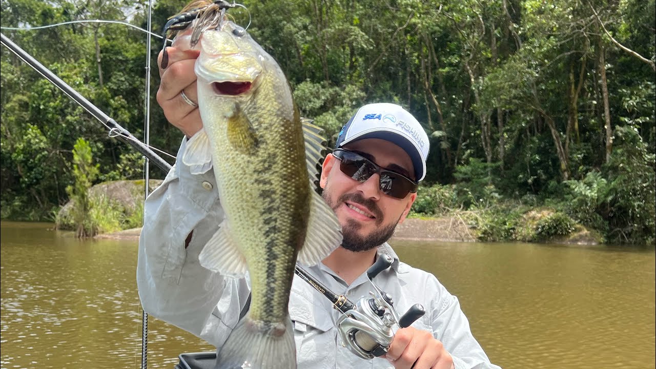 Muito black bass no pesqueiro bass fishing