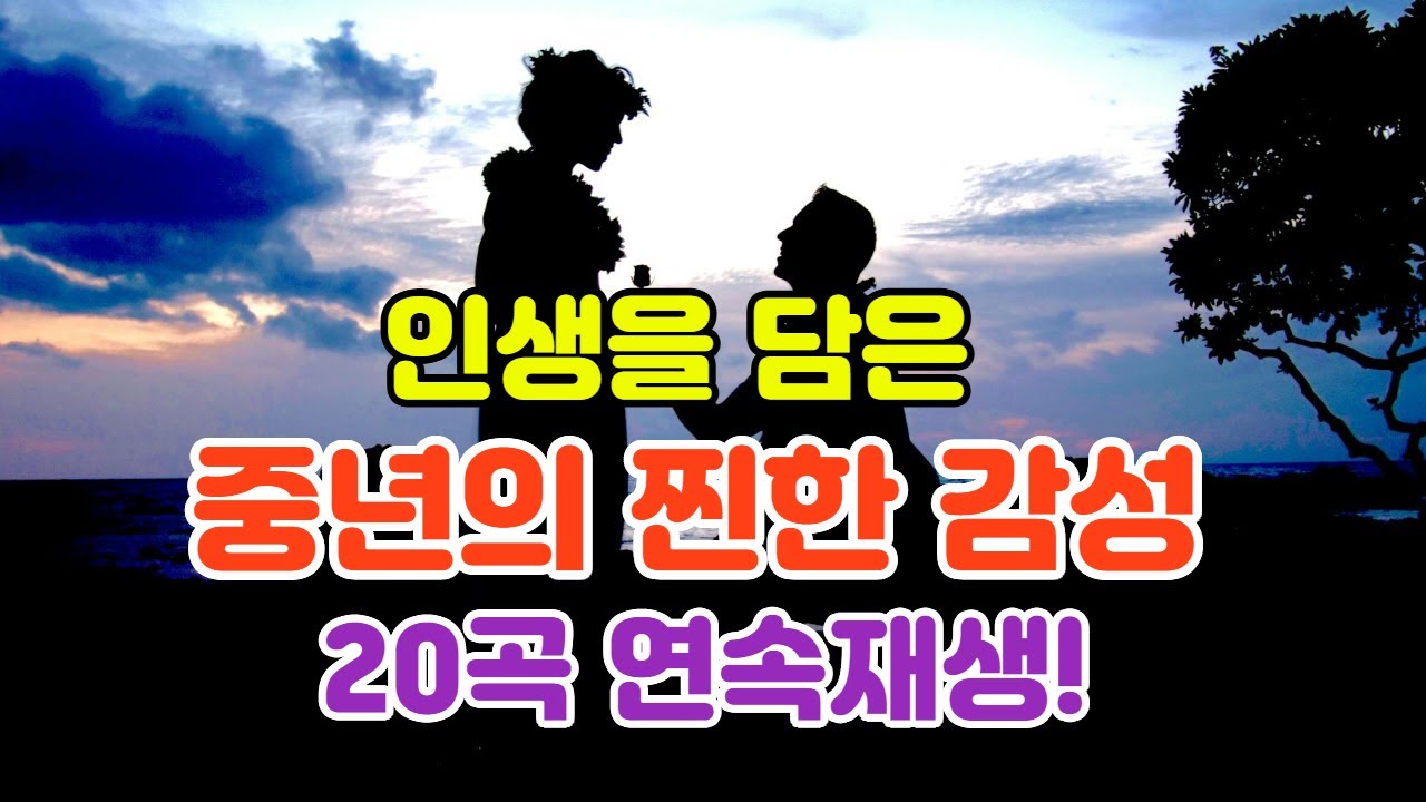 🎶인생을 담은 노래 20곡 연속 재생 — 중년의 찐한 감성. #감성트로트 #힐링음악 #중년음악 #트로트