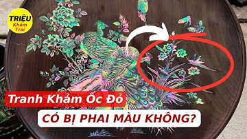 Tranh Khảm Ốc Đỏ Có Bị Phai Màu Không? | Sự Thật Ít Ai Nói _ Triệu Khảm Trai