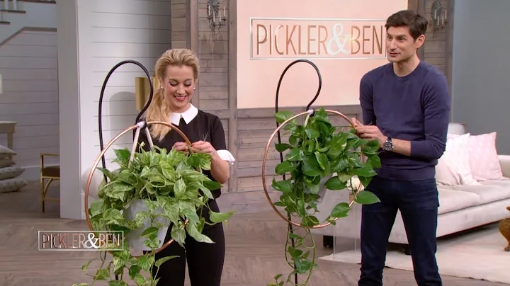 How to Make a Hanging Plant with Lauren Makk - Pic...