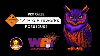 Wisley Pyrotechnics Inc. - PC3012U01 - T-Sky - 1.4 Pro Firework Cake