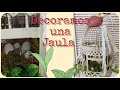 DECORANDO JAULA VINTAGE 🪺🐦#decoracion #ideas #manualidades #diy