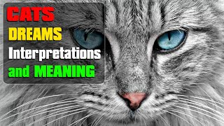 What Do Dreams about Cats Mean?  it is  good to see cat in dream?  Dream Meaning Interpretations