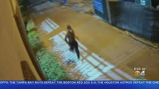 Woman Escapes Attempted Fort Lauderdale Abduction