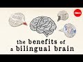 The benefits of a bilingual brain - Mia Nacamulli image