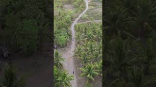Serene Coconut Groves 4K Cinematic Drone Journey Through the Tropical Province Landscapes