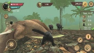 Wild Panther Sim 3D Android Gameplay #20 screenshot 4