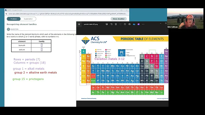 ALEKS: Recognizing Element Families