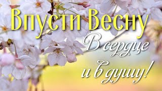 Видео открытка, пожелание для хорошего весеннего настроения. Весны в сердце и в душе! Весна  пришла!