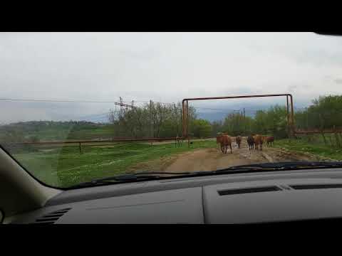 ღვანკითის დედაღვთისას მისასვლელი გზა