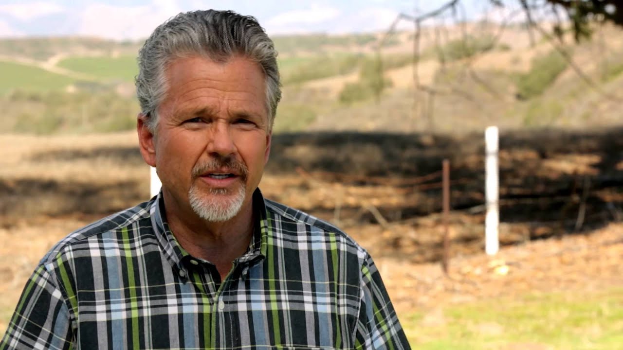 Roy Reed Roy Reed - YouTube
