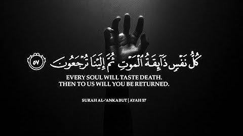 أرح سمعك.. تلاوة هادئة تريح القلب😴 | ساعتين متواصلة🕛🎧 القارئ عبدالرحمن مسعد | Abdulrhman Mosad