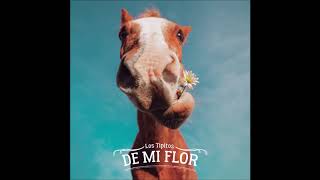 Los Tipitos - Campanas en la noche (AUDIO)