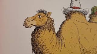Mr. Greg reads, "Animals should definitely not wear clothing."