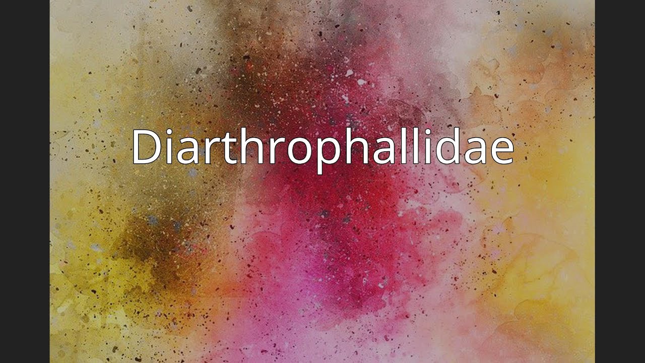 Diarthrophallidae