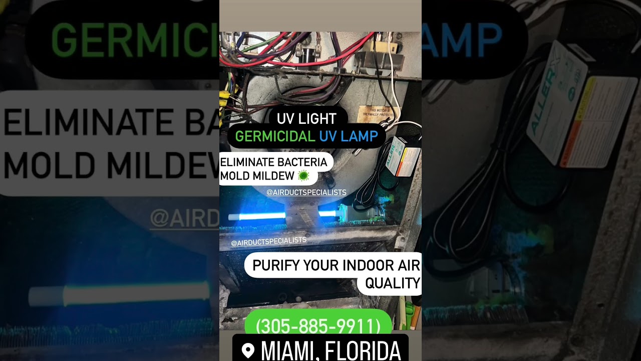 BEST AIR PURIFIER OUT!