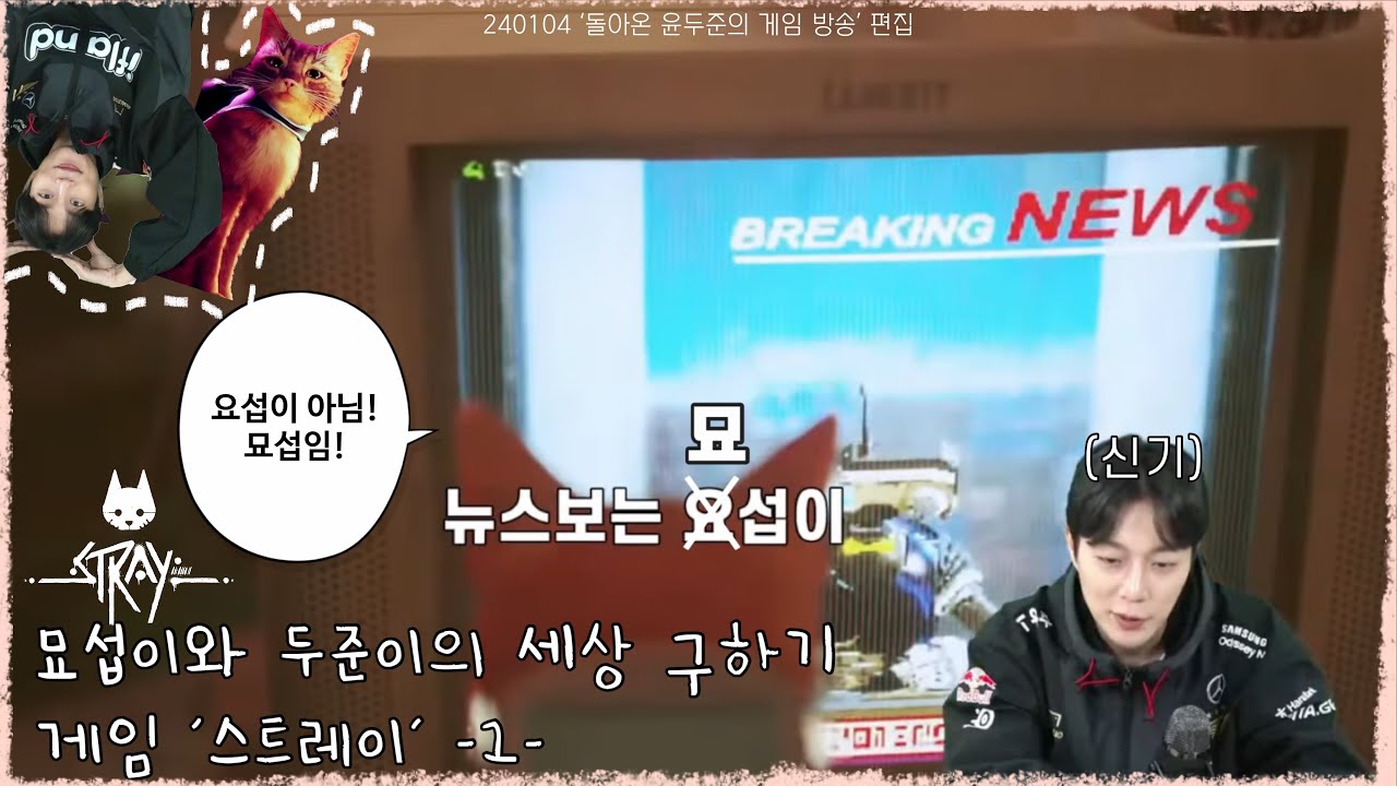 [ENG/하이라이트] 고양이 묘섭이와 두준이가 함께 떠나는 모험 🐱💙 | 두준이의 게임 방송 🎮🕹️ ‘Stray(스트레이)’ -1-