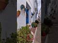 💙🪴Magnificent White Village in Andalucía, Spain 🩶🌿 📍Frigiliana #spainwalkingtour #travel