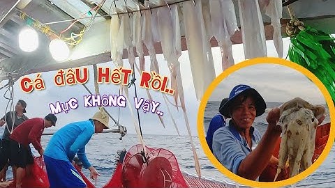 Thời tiết lạnh quá, cá trốn mất, mực ghim thì mê đèn | Đánh cá 2025 - Tập 2 | Sóng biển Hứa Đông