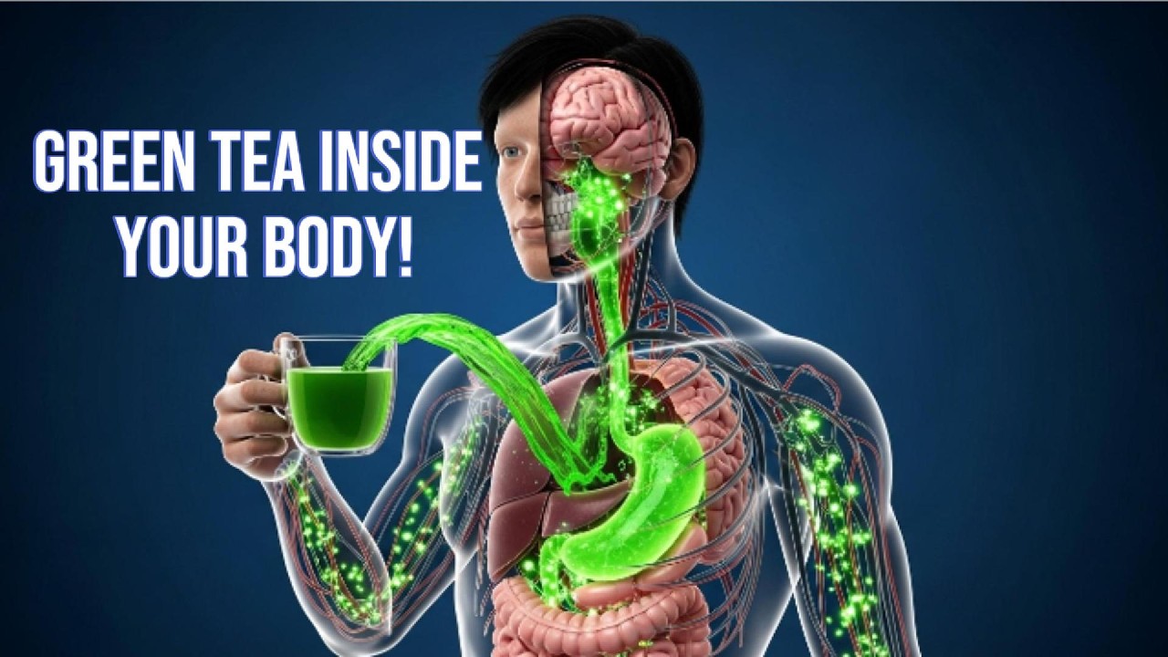 What Happens Inside Your Body When You Drink Green Tea Every Day? - YouTube