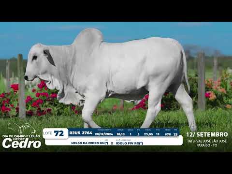 Lote 72   RJUS 2764