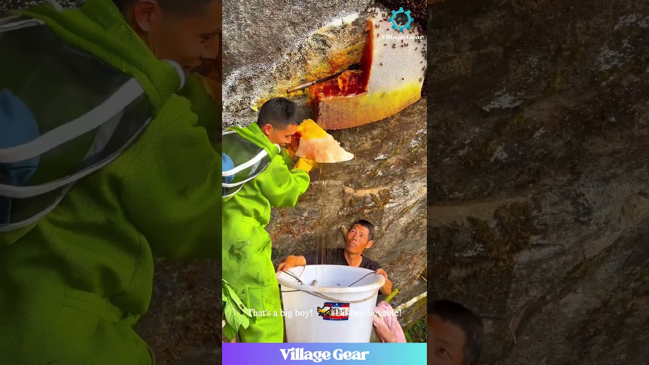 Honey Hunting Level: EXPERT! 🧗‍♂️ That's a WHOLE Lotta Honey! 🍯 