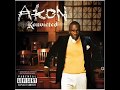 Akon - I Wanna Love You  (Explicit)