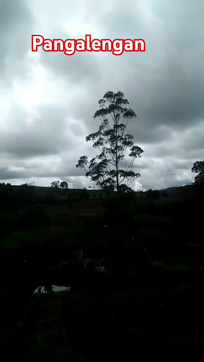 Pangalengan #budaya #reells #kampungsunda #story #wisata #perkampungansunda #nature #viralvideo