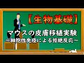 高校生物基礎『マウスを用いた皮膚移植実験〜細胞性免疫による拒絶反応〜』オンラインで高校授業