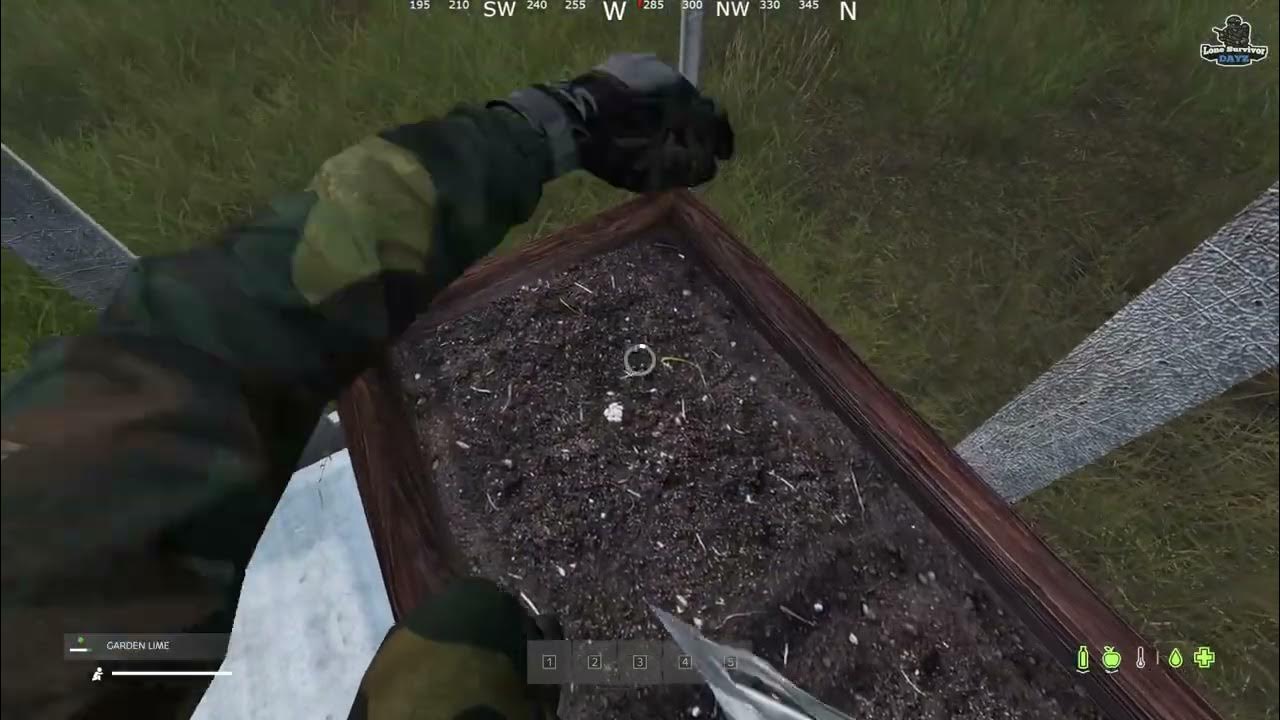 How to grow or sell weed and vegetables in LONE SURVIVOR DAYZ YouTube