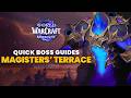 Magisters' Terrace Boss Guides | Midnight Season 1