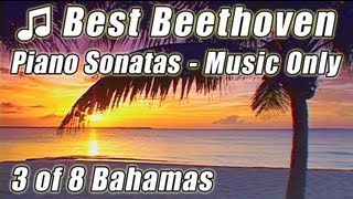 BEETHOVEN Piano Sonatas 3 Appassionata Mvt 2 Hammerklavier Mvt 3 Classical Music Instrumental Study screenshot 5