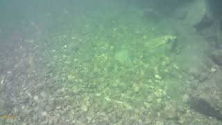 Unterwer Im Lech Meitingen