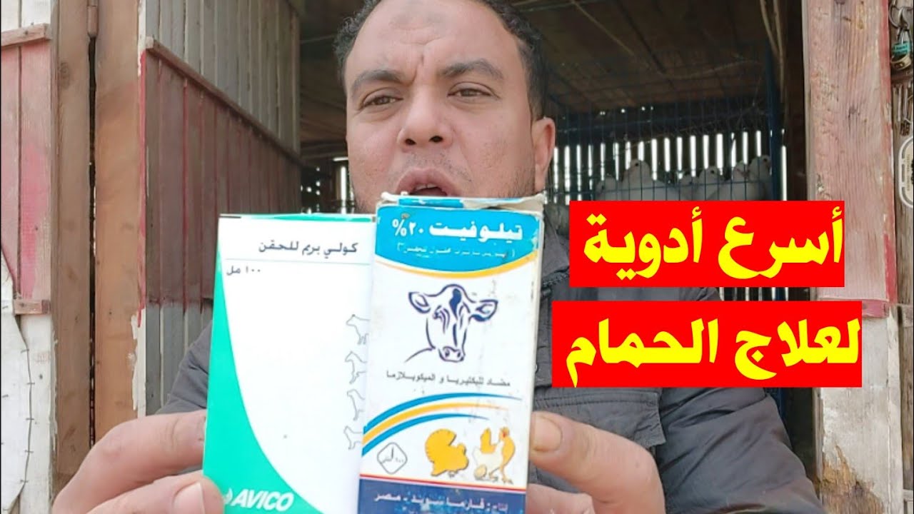 استخدم أسرع علاج للقضاء علي السلامونيلا والتنقسي والبرد نتائج من أول يوم