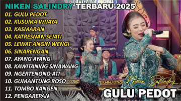GULU PEDOT 🎵 | NIKEN SALINDRY | FULL ALBUM TERBARU VERSI CAMPURSARI VIRAL🎵  TRENDING 2025/2024