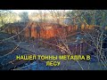 Нашел тонны металла в лесу, конкуренты не дремлют. ОП металлокоп.