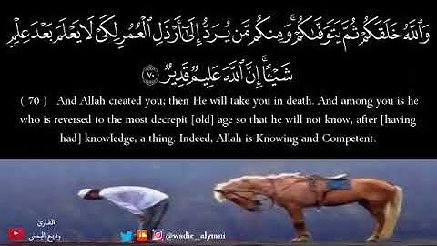 القارئ الشيخ وديع اليمني|| آيات من سورة النحل بصوت عذب ويهون عليك المتاعب 🌺