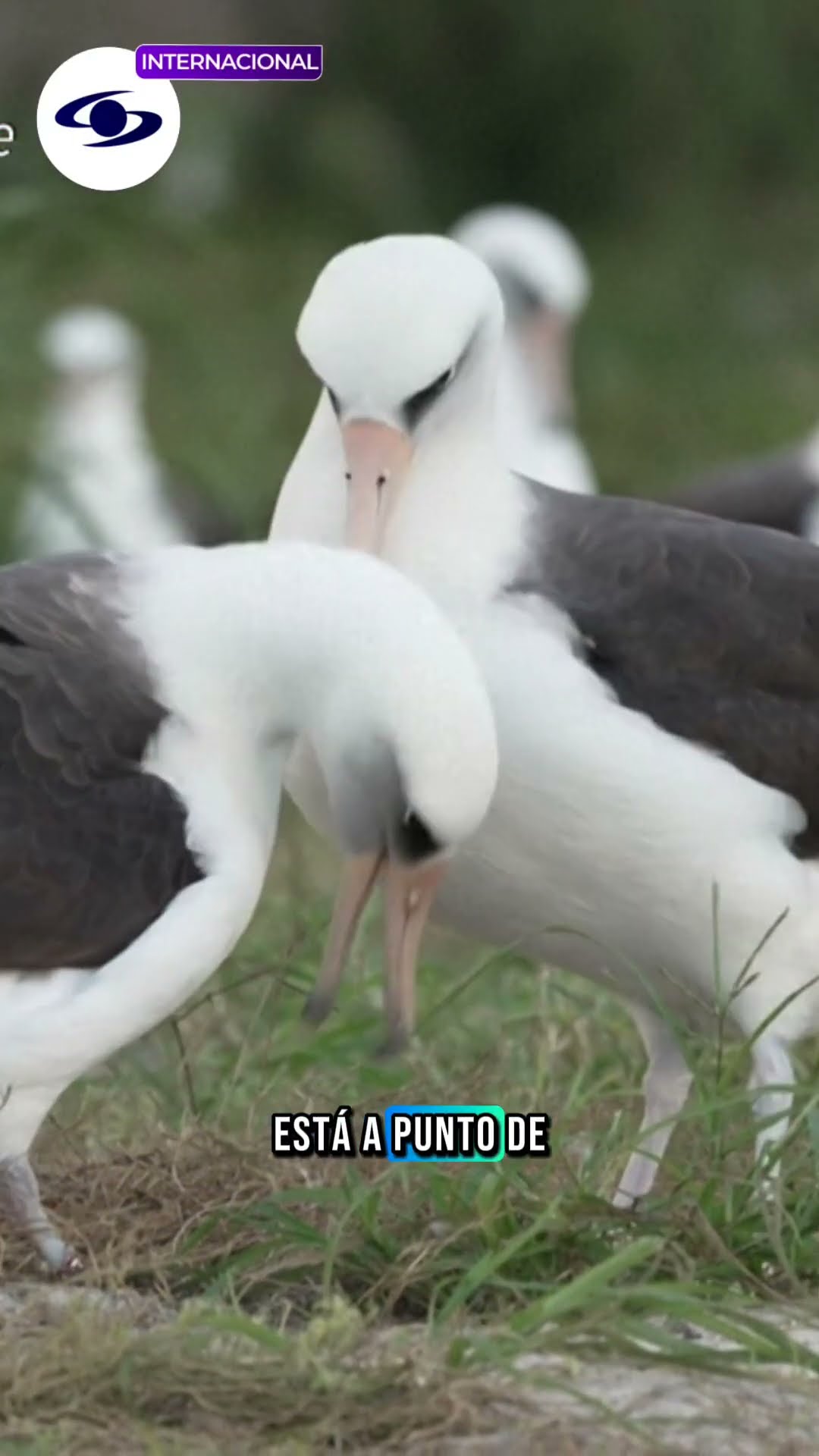 Entérese de las noticias de hoy