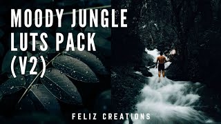 Moody Jungle Luts v2   Free Moody Green Luts  cube 