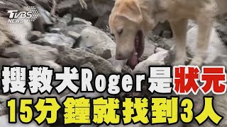 搜救犬Roger是高考狀元 15分鐘就找到3人 小隊長:IQ.EQ都很強很高｜TVBS新聞