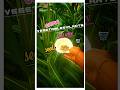 Shorts Grow Vegetable Plants At Home 2025 Trending Youtubeshorts Shortvideo Microgreens Shorts Grow Vegetable Plants At Home 2025 Trending Youtubeshorts Shortvideo Microgreens