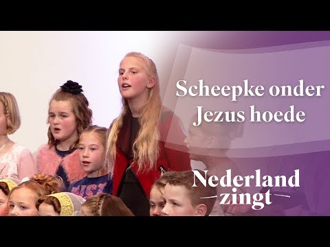 Scheepke Onder Jezus Hoede